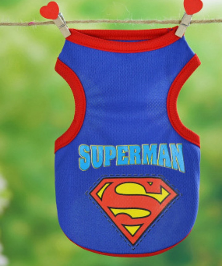 Dog Toys — Product / Dog Cloth, image 13