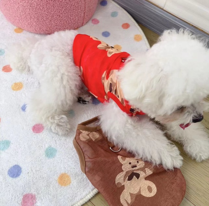 Dog Toys — Product / Dog Cloth, image 51