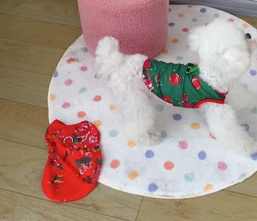 Dog Toys — Product / Dog Cloth, image 52